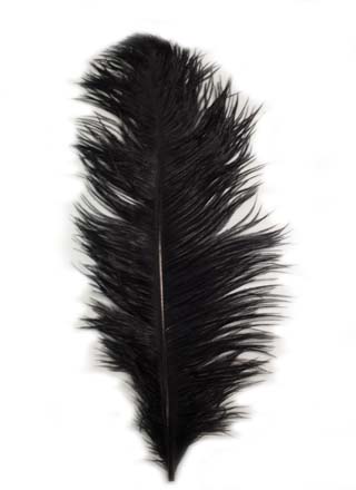 Ostrich Feather Plume - BLACK - FEKETE